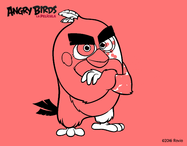 Red de Angry Birds