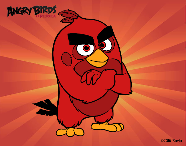 Red de Angry Birds