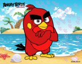 Red de Angry Birds