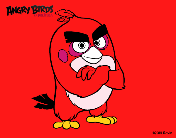 Red de Angry Birds