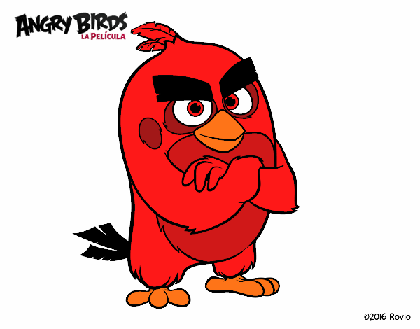 Red de Angry Birds