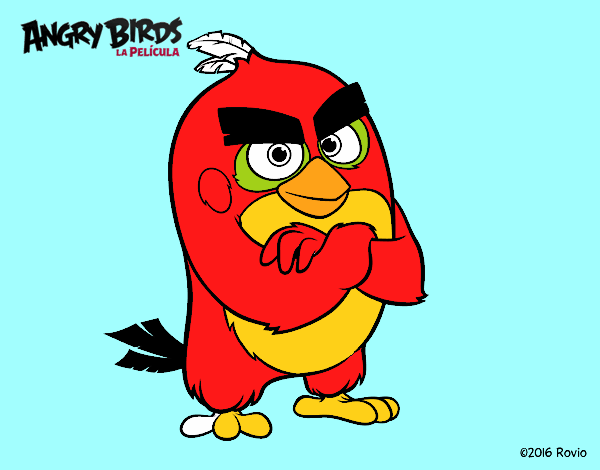 Red de Angry Birds