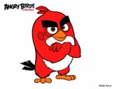 Red de Angry Birds