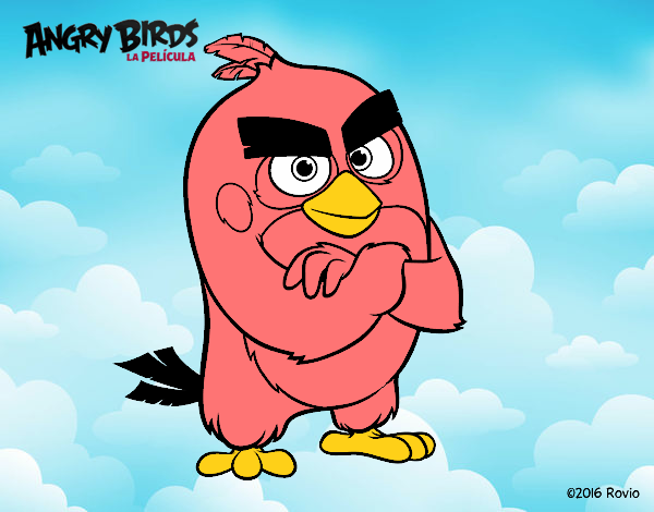 Red de Angry Birds