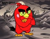 Red de Angry Birds