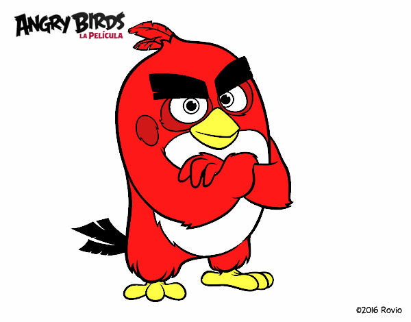 Red de Angry Birds