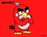 Red de Angry Birds