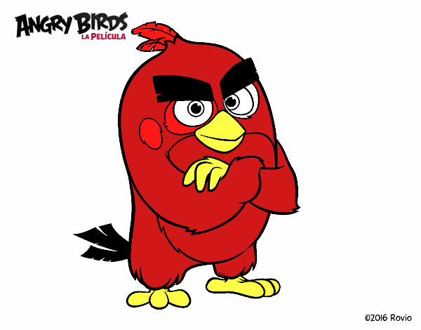 Red de Angry Birds