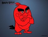 Red de Angry Birds