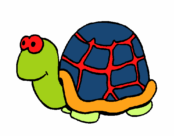 Tortuga 1