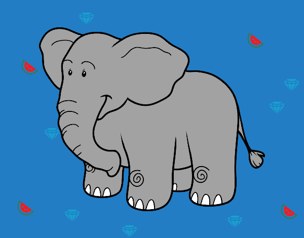 elefante