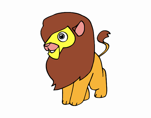 Un león