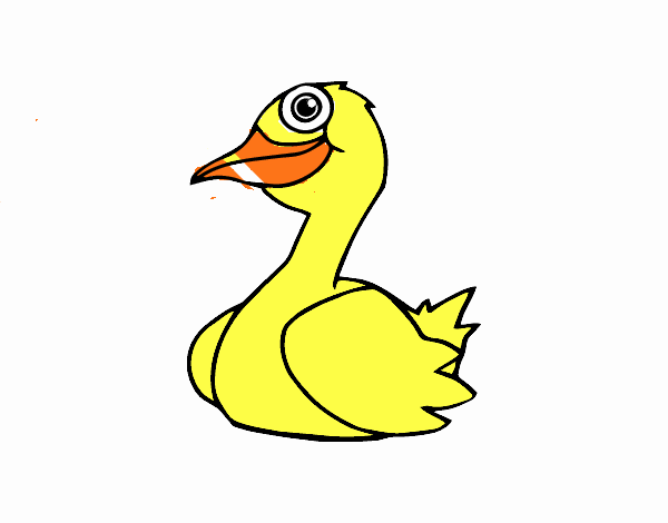 Un pato