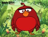 Bomb de Angry Birds