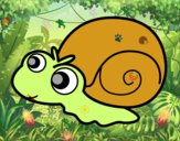 Caracol bebé