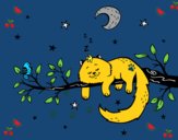 El gato y la luna