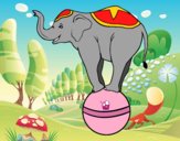 Elefante equilibrista