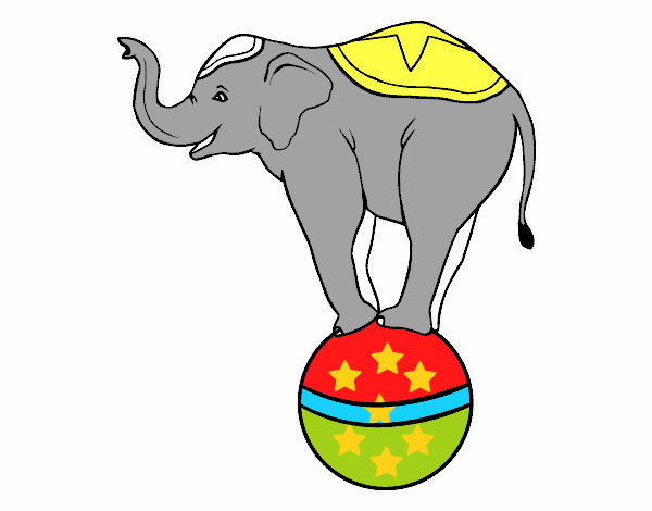 Elefante equilibrista