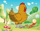 Gallina de una granja