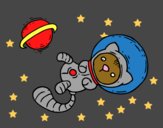 Gatito astronauta