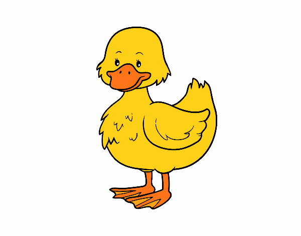 patito