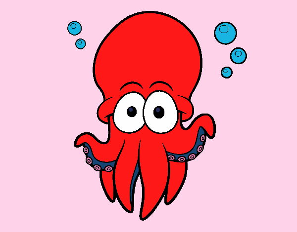 Pulpo rojo