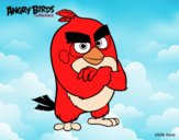 Red de Angry Birds