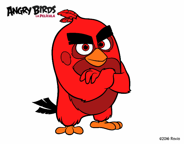 Red de Angry Birds