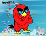 Red de Angry Birds