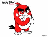 Red de Angry Birds