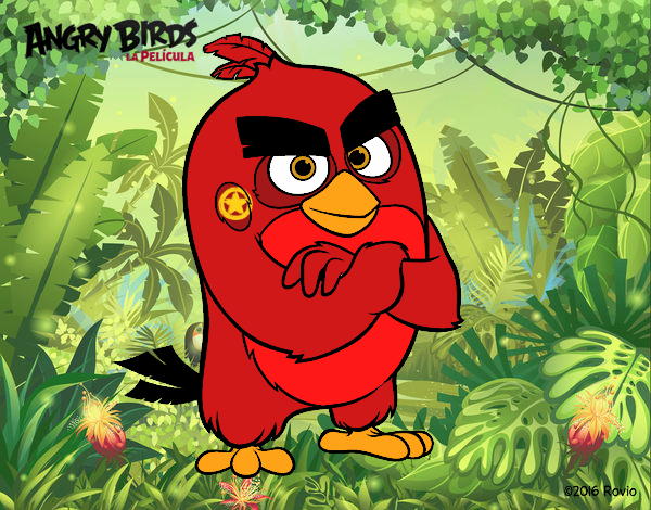 Red de Angry Birds