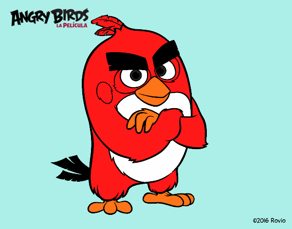 Red de Angry Birds