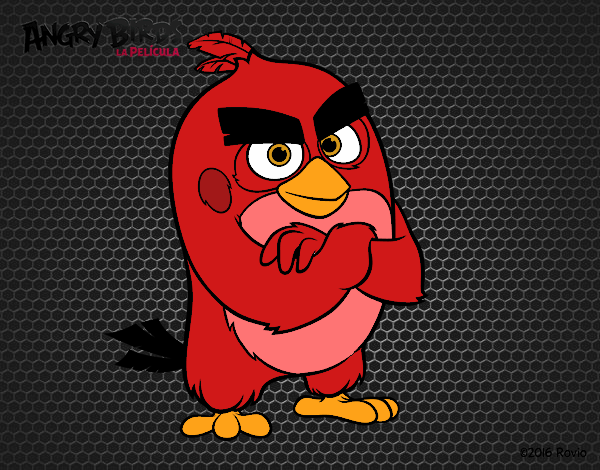 Red de Angry Birds