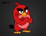 Red de Angry Birds