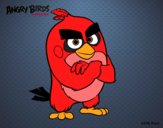 Red de Angry Birds