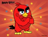 Red de Angry Birds