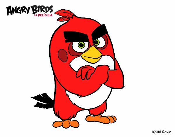 Red de Angry Birds