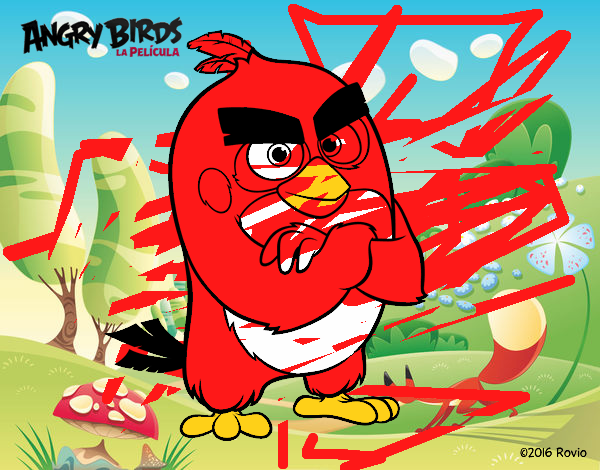 Red de Angry Birds