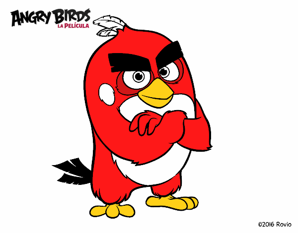 Red de Angry Birds