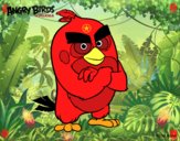 Red de Angry Birds