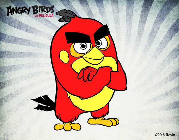 Red de Angry Birds