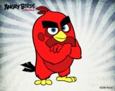 Red de Angry Birds