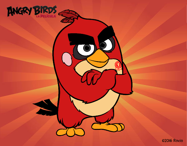 Red de Angry Birds