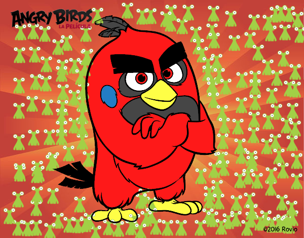 Red de Angry Birds