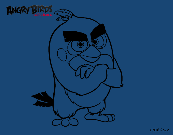 Red de Angry Birds