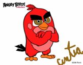 Red de Angry Birds