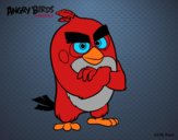 Red de Angry Birds