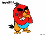 Red de Angry Birds