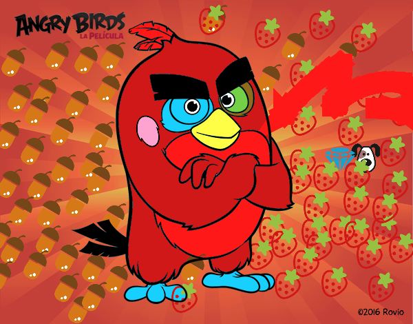 Red de Angry Birds