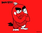 Red de Angry Birds